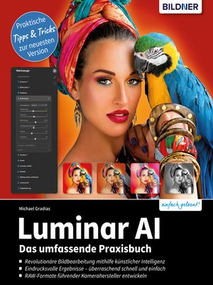 cover image of Luminar AI